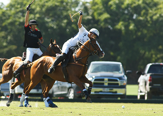 USPA Piaget Gold Cup photos zorzal mt brilliant alex pacheco polo tournament polo match