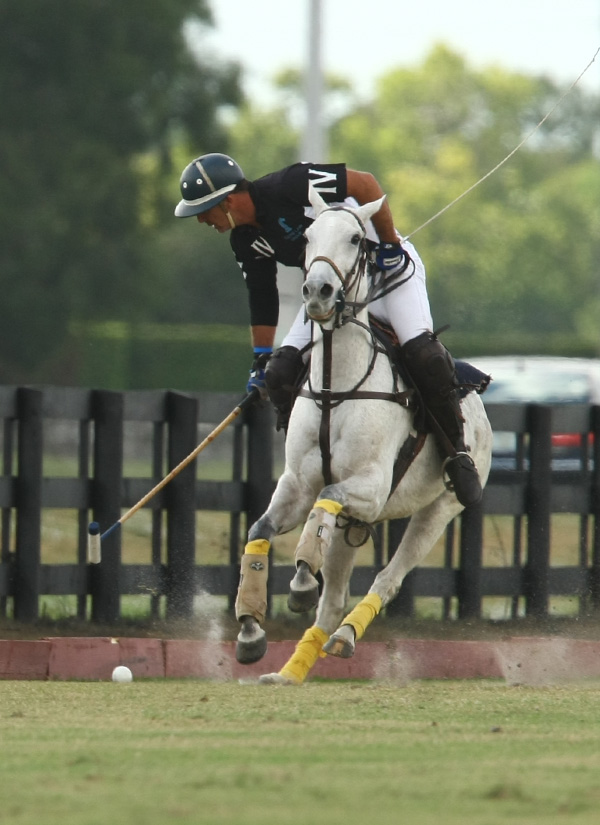 Polo PhotosUSPA National 20-goal  2