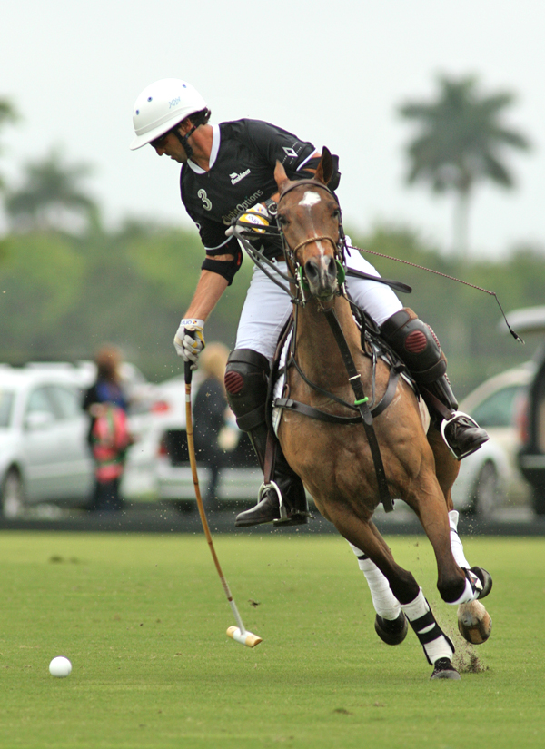 joebarrypolotournamentmemorialcup2014pachecophotospolomagazine 1