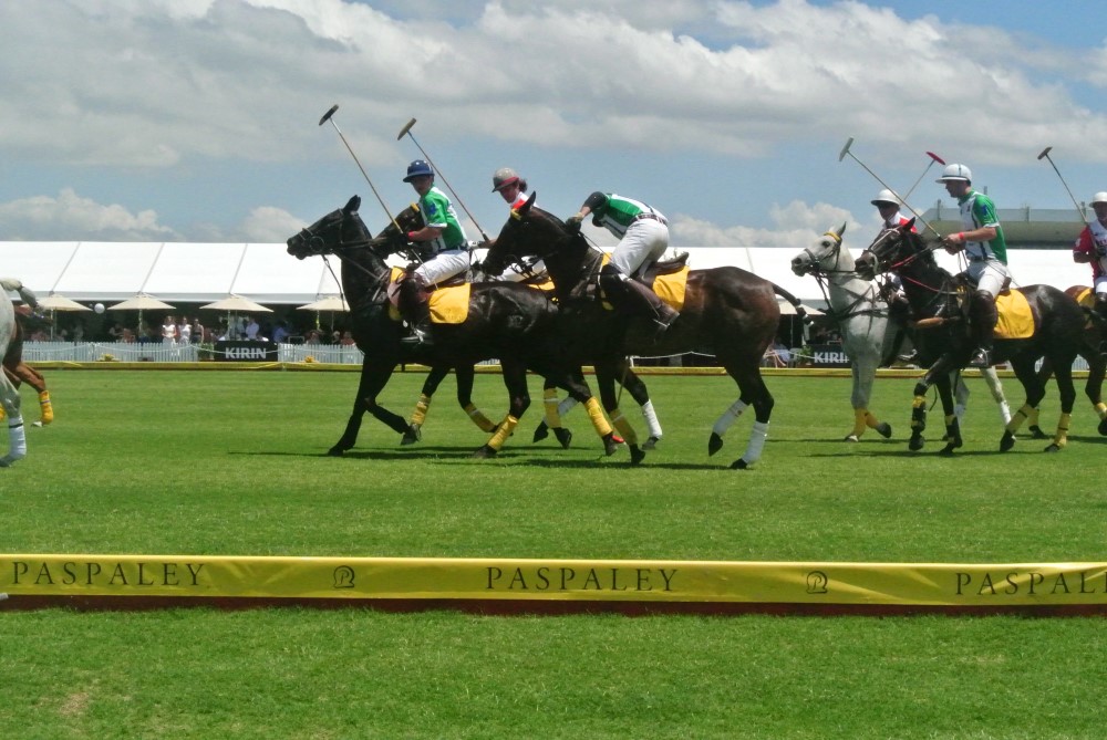 DSC 7573