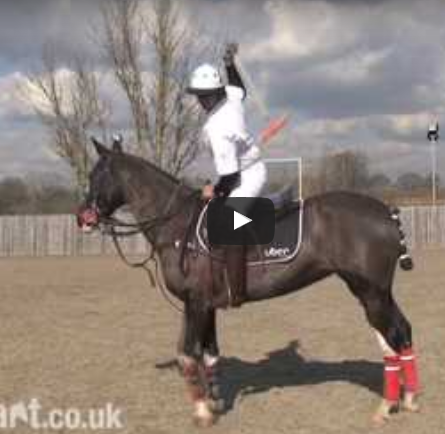 How to play Polo - How to hit a near side back hand shot.mp4